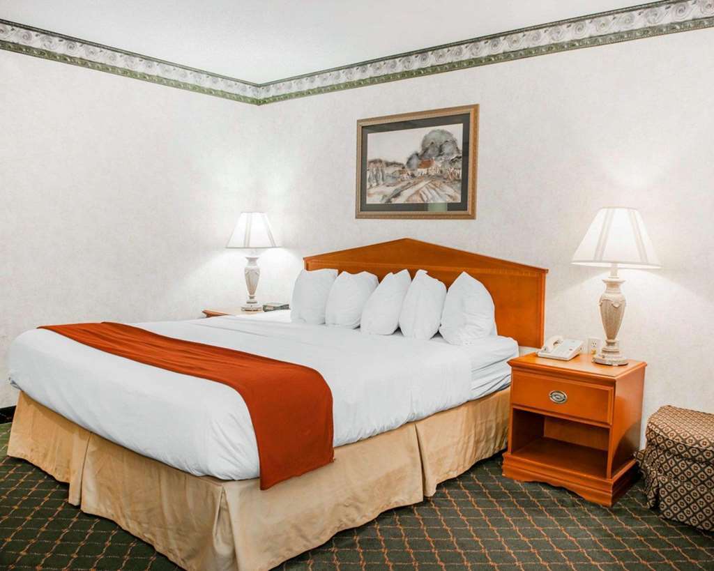 Quality Inn & Suites Brownsburg - Indianapolis West Camera foto